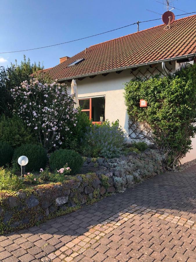 Ferienwohnung Auszeit Losheim am See Eksteriør billede